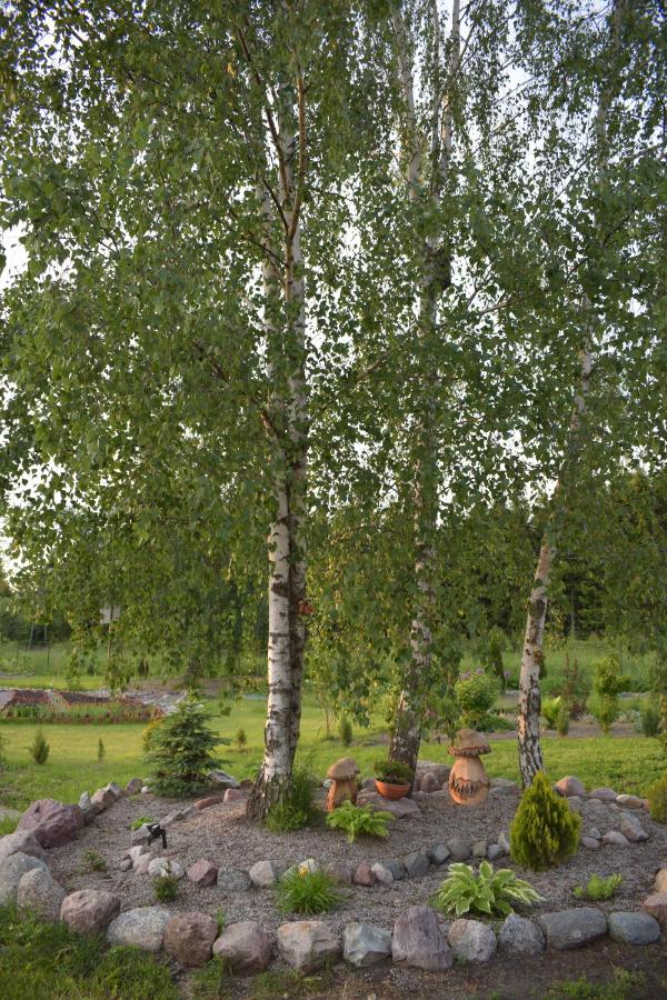 Zakątek Warmiński - Ferienwohnung Płoskinia