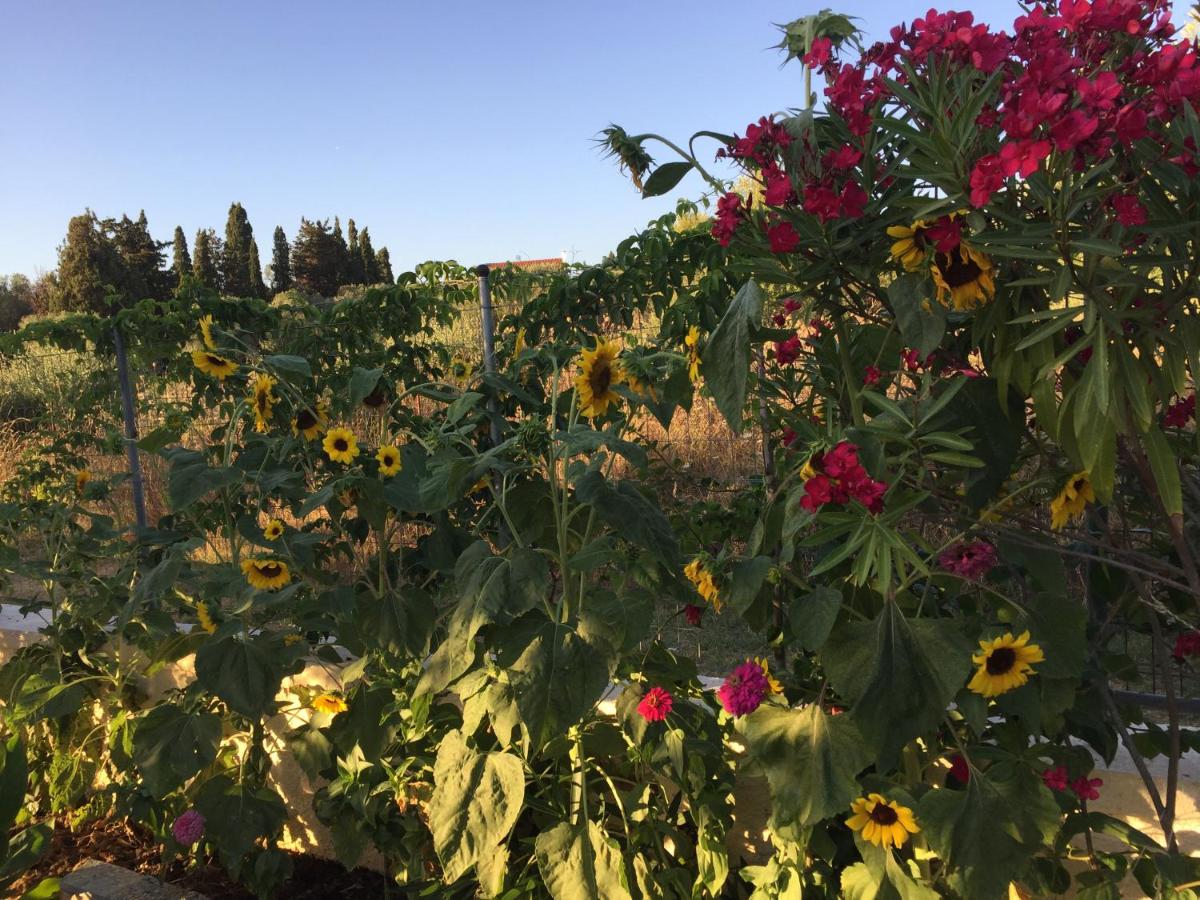 Villa Pelagia - Bed and Breakfast