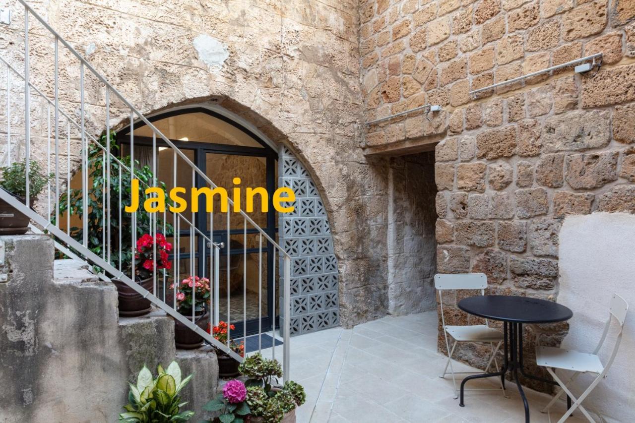 Jasmine- One Bedroom Apartment 
