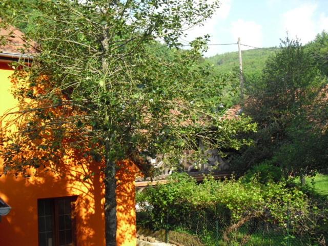 Gite S'Hiesla - B&B