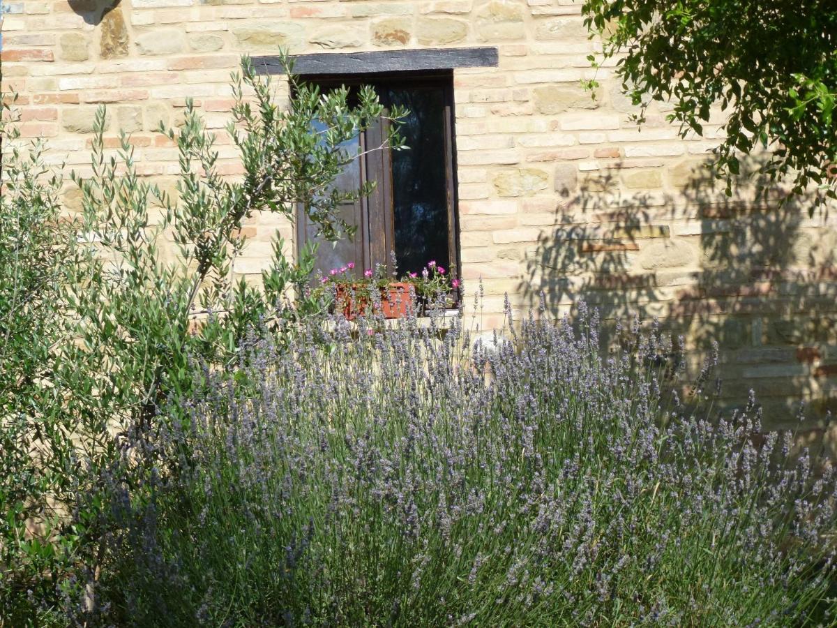 Il Casale di Aurora Country House - B&B Colmurano