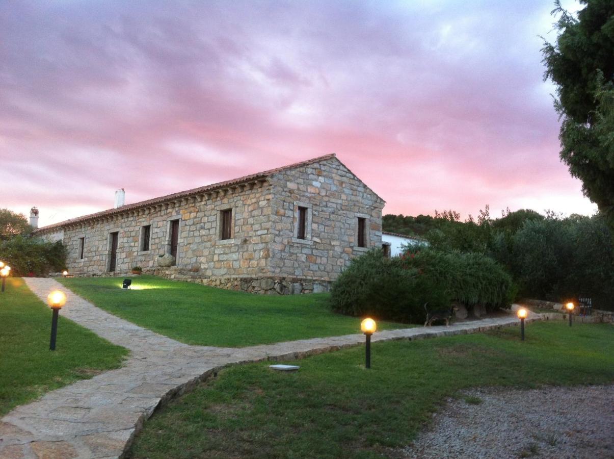 B&B Arzachena - Il Vecchio Ginepro - Bed and Breakfast Arzachena