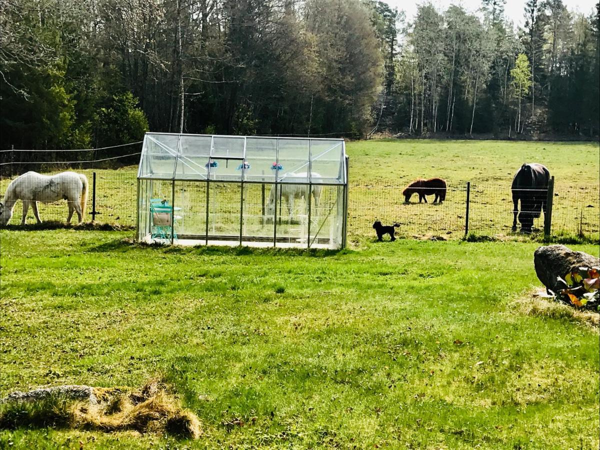 Holiday home with jacuzzi & sauna - Ferienwohnung Rimbo