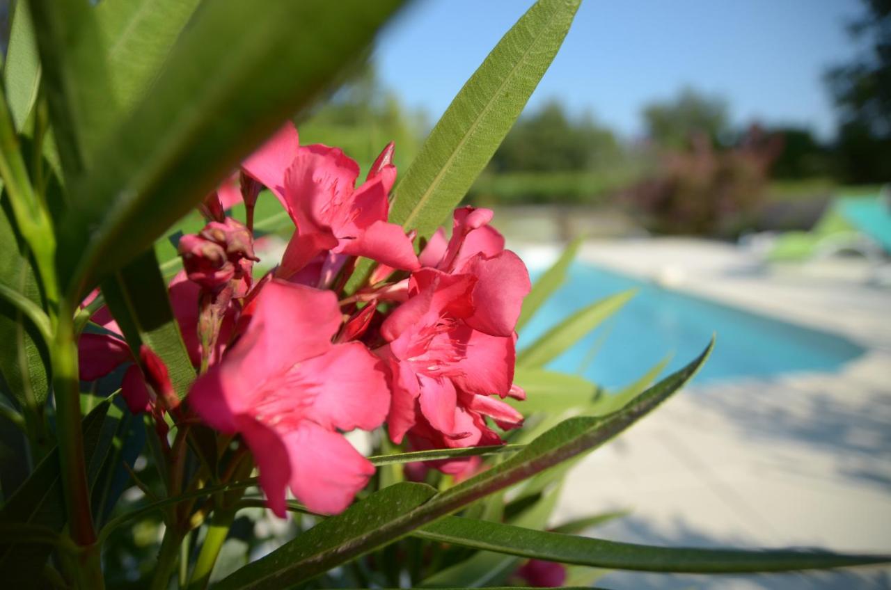 Le petit Bacalan - B&B Mormoiron