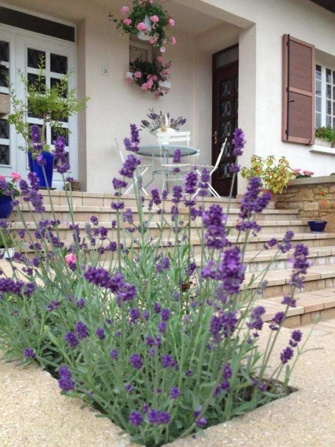 B&B Nuits-Saint-Georges - Les portes du vignoble - Bed and Breakfast Nuits-Saint-Georges