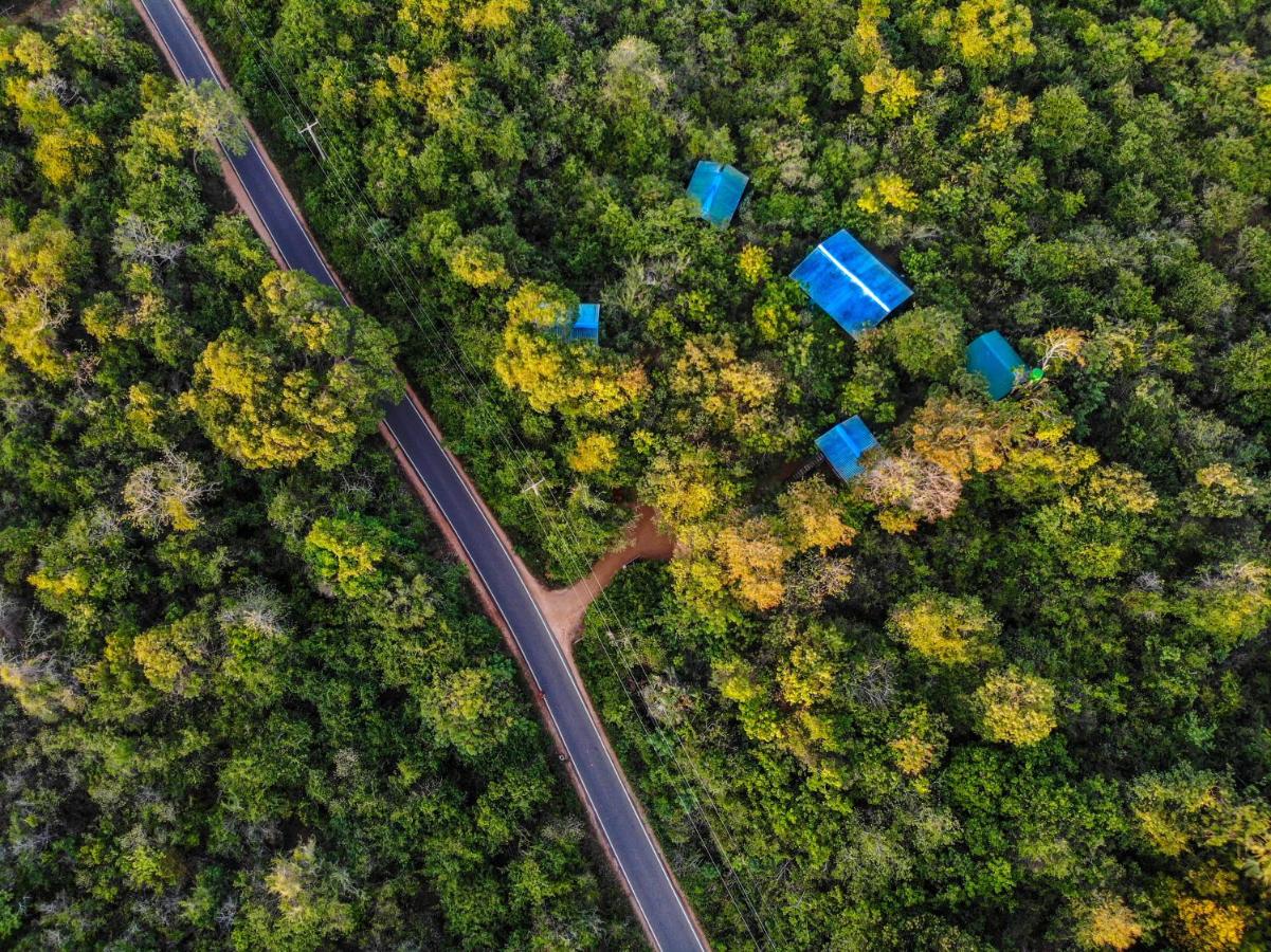 The Thick Forest - B&B