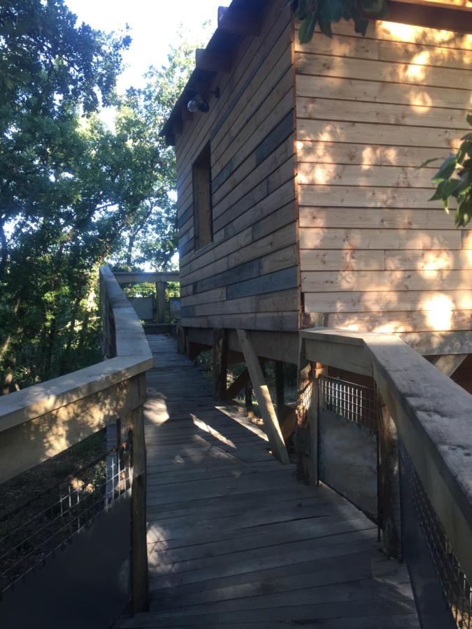 Cabane perché dans les arbres