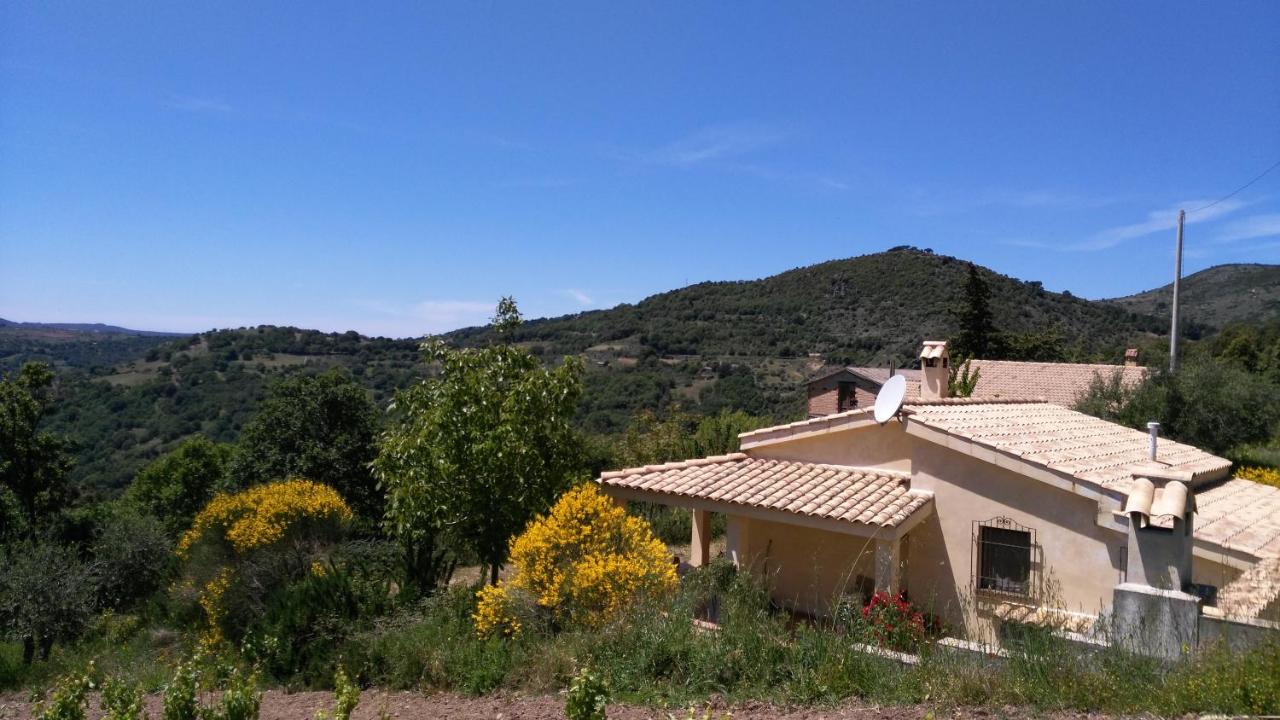 S'orrosa casa vacanze bifamiliare in montagna panorama stupendo Sardegna - B&B