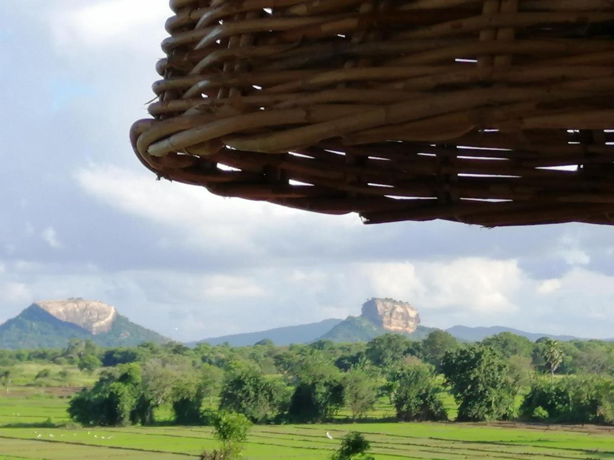 B&B Sigiriya - Organic Garden Resort Sigiriya - Bed and Breakfast Sigiriya