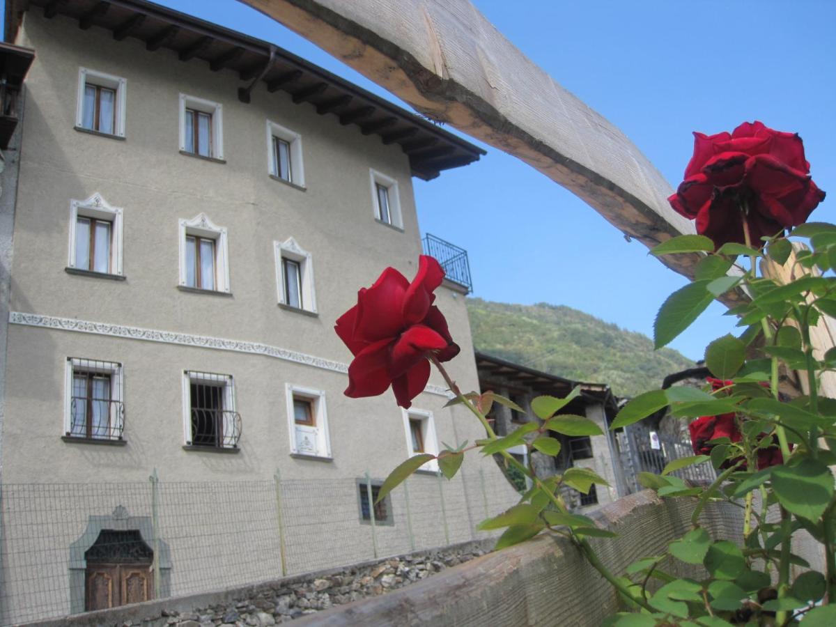 Agriturismo Antico Filare - Bed and Breakfast