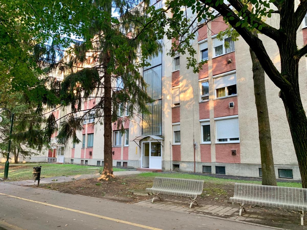 Anita Apartman - B&B