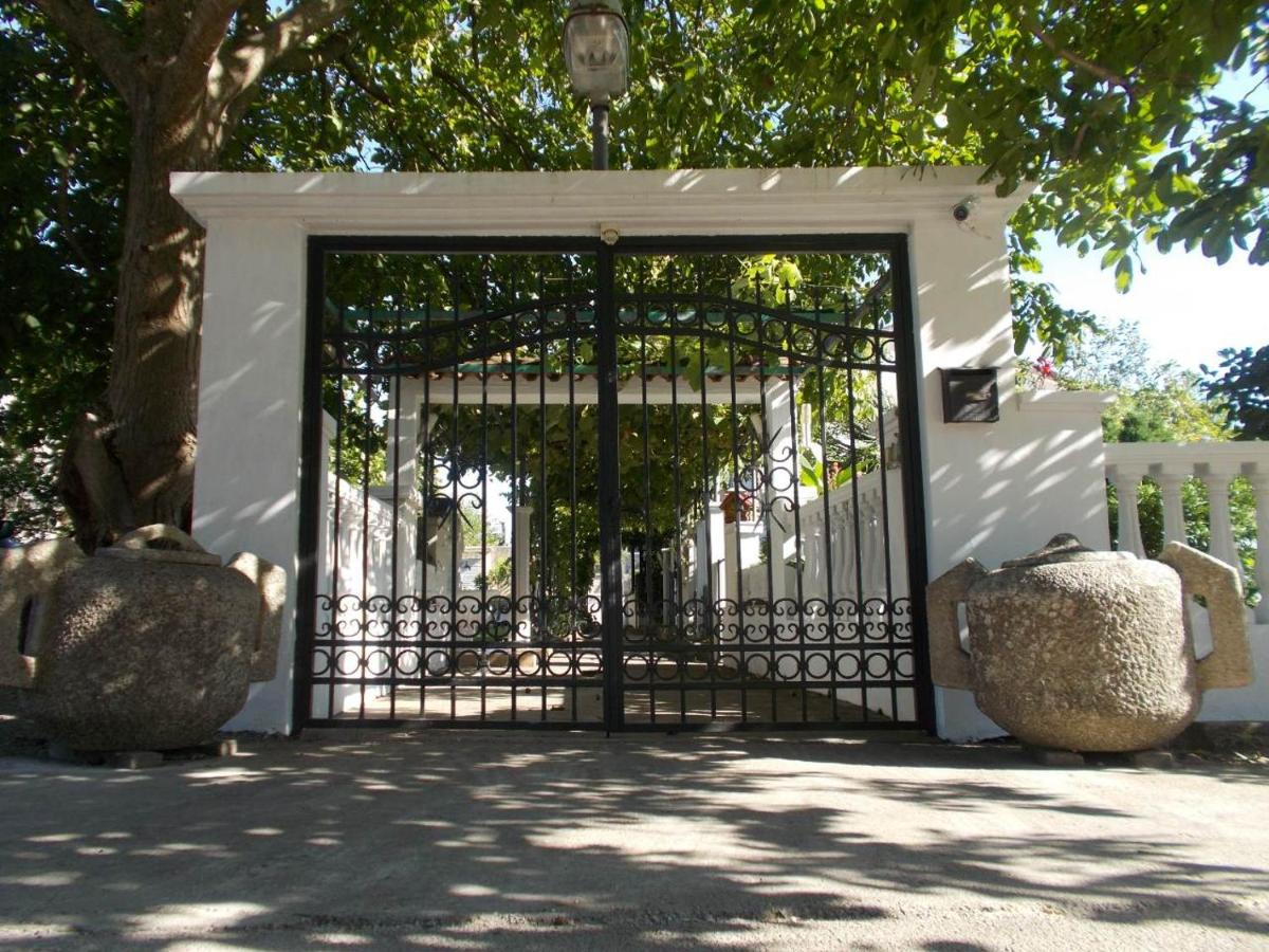 Apartmani Ivona - Bed and Breakfast Budva