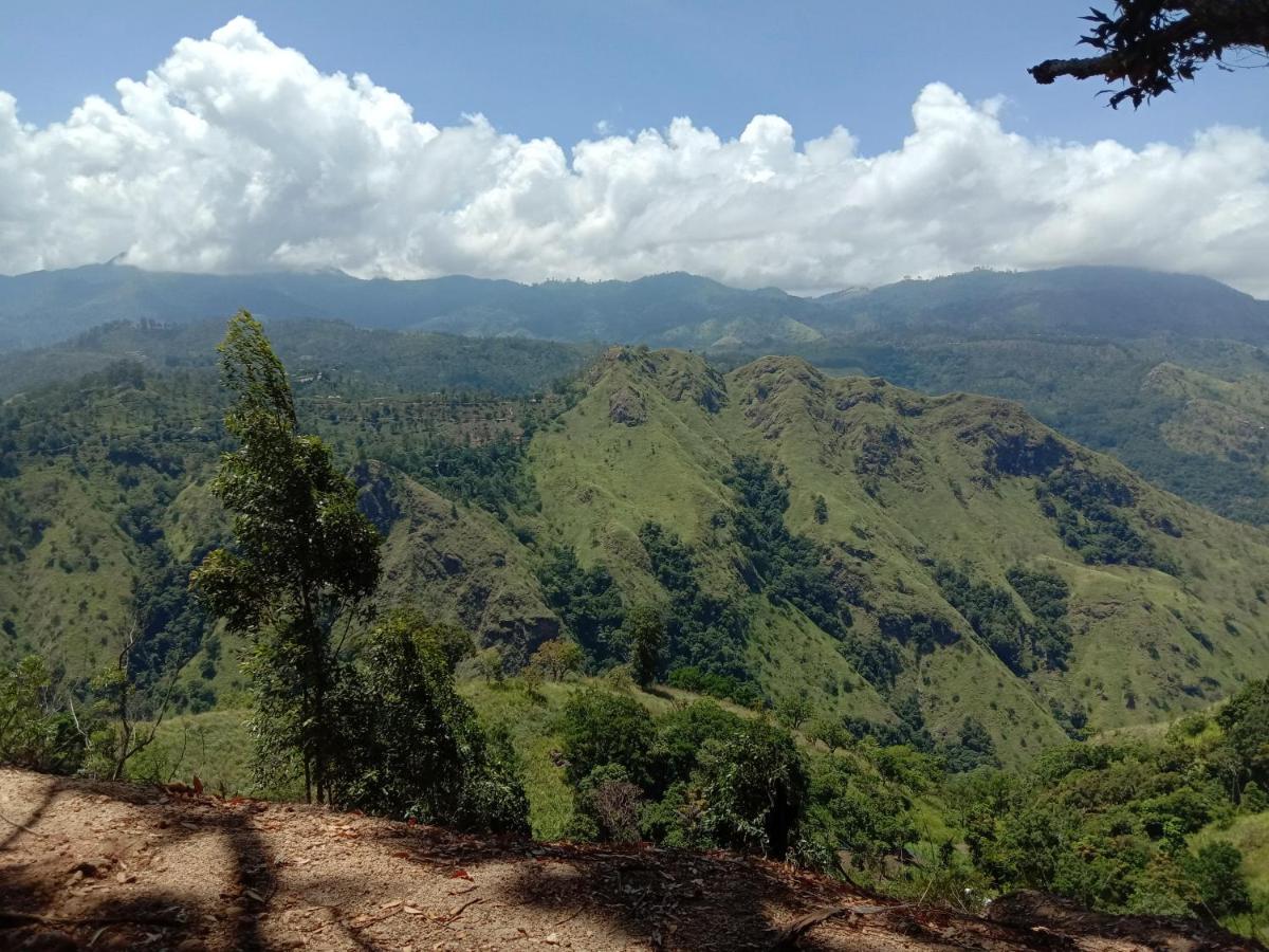 New Red Rose Ella - Chambres d’hôtes Ella Town