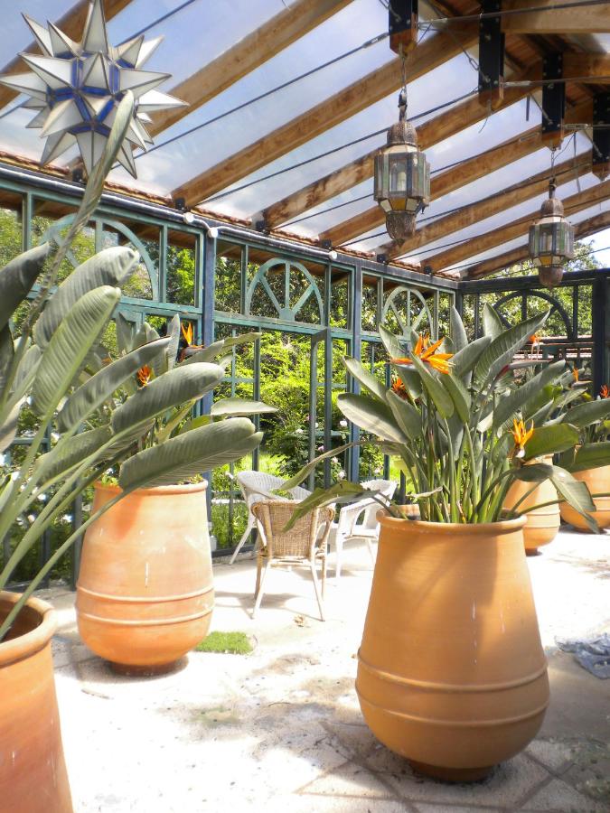 La Gallina Felice B&B - B&B
