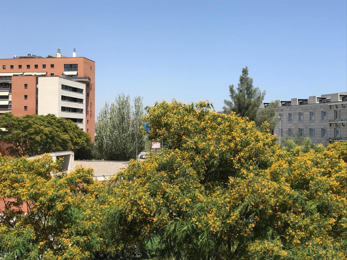 Appartamento con 2 Camere da Letto e Balcone