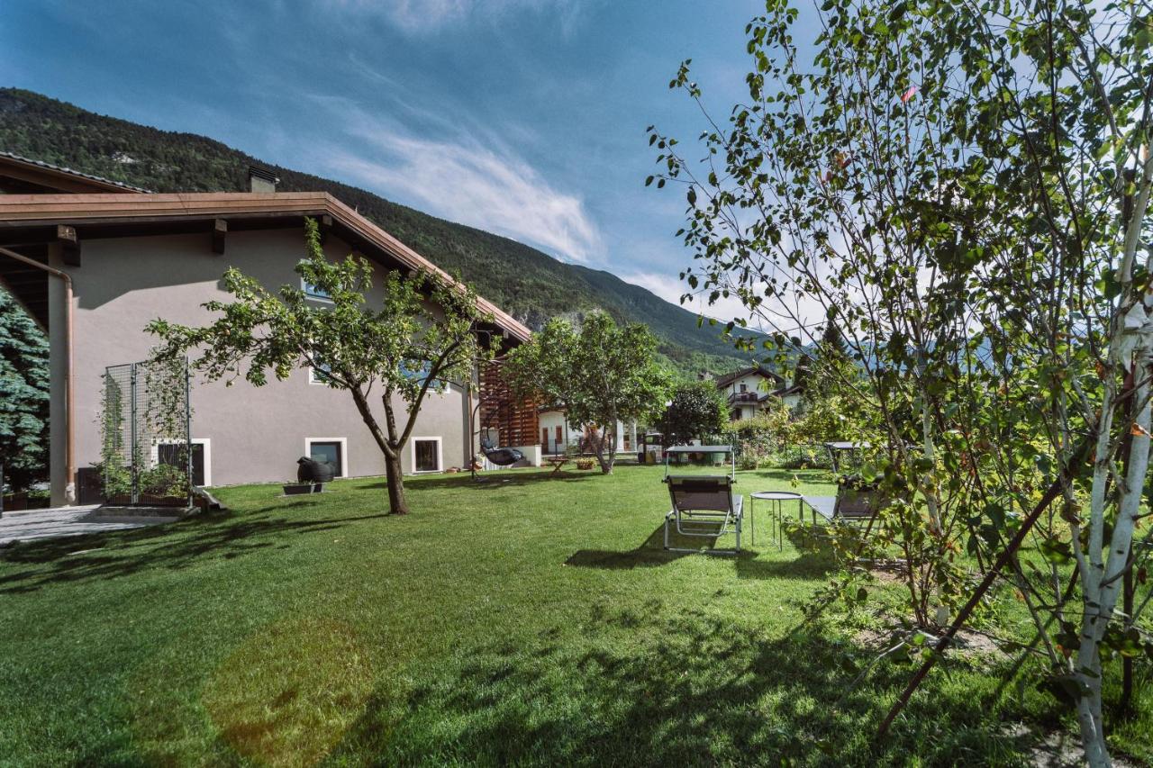 La Mucca Pelosa B&B - B&B