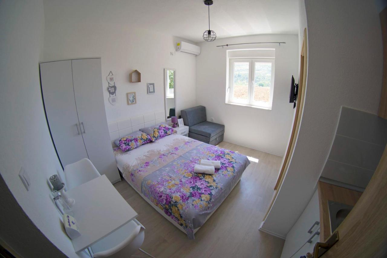 Studio with Garden View