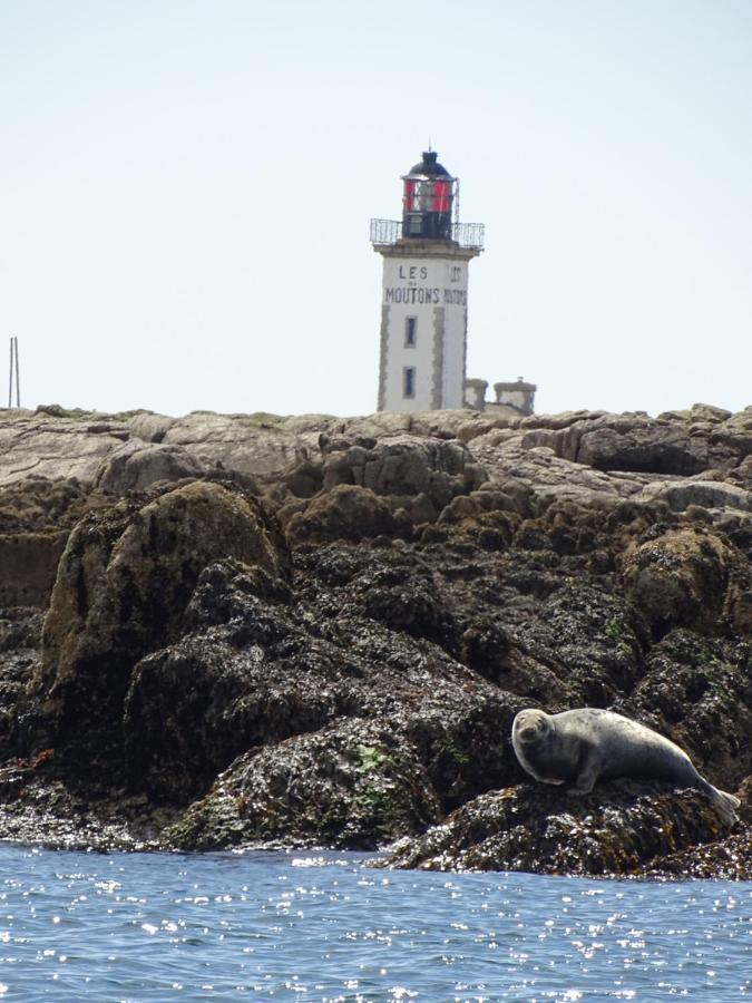 Sérénité à la mer - Ferienwohnung