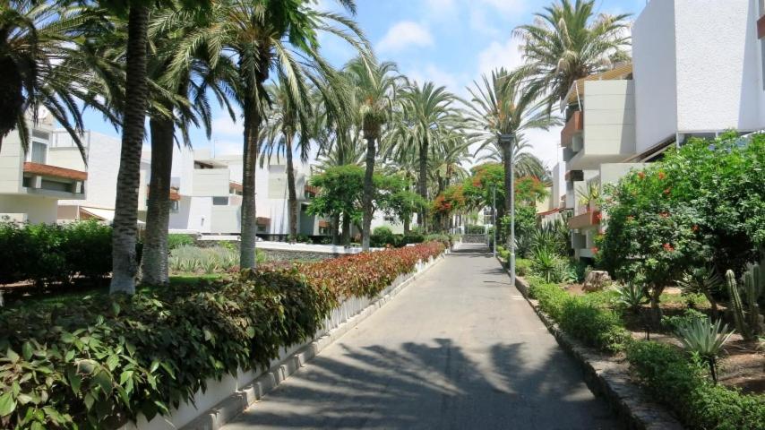 South Tenerife 471 - Ferienwohnung