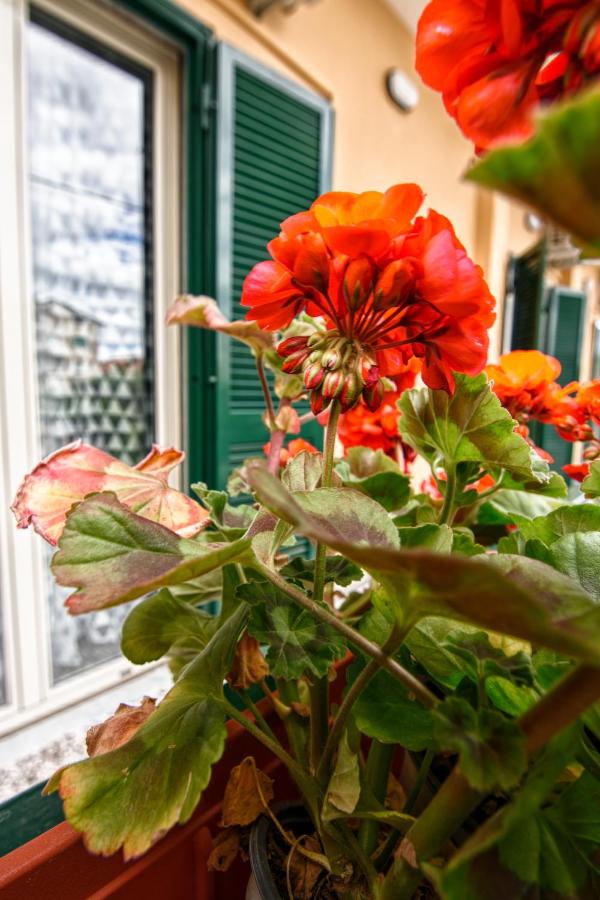 B&B Grazia - B&B