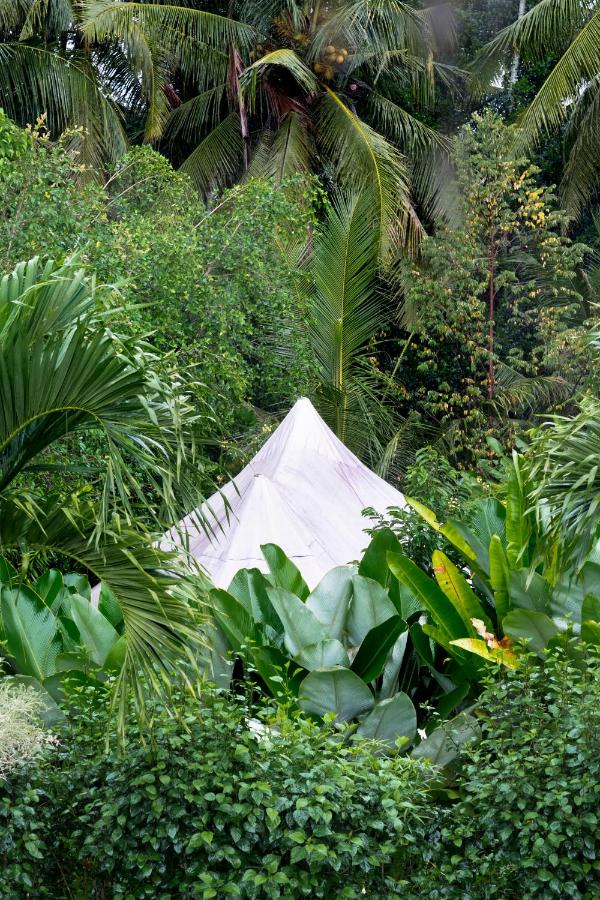 Tenda con Piscina Privata