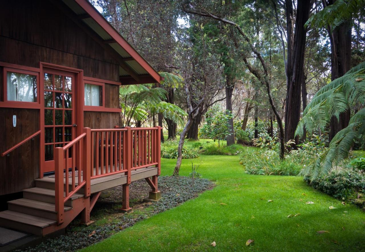 Apartment mit Gartenblick