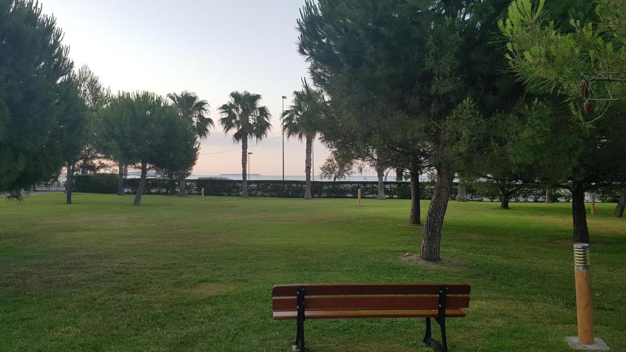 T2 rez de jardin front de mer - B&B Cannes