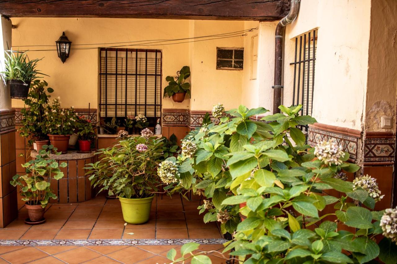 Atico con vistas - B&B