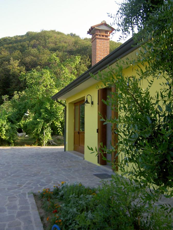 Agriturismo Monteortone - B&B