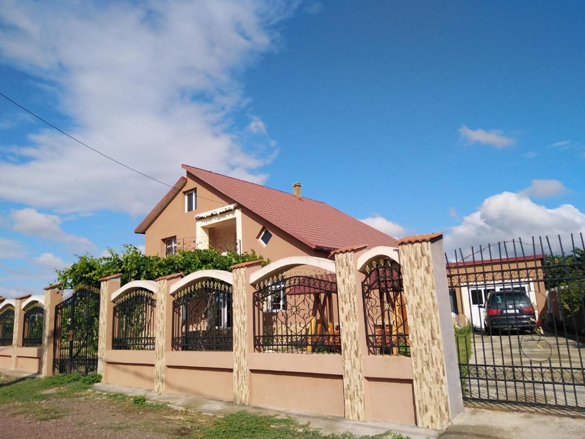 B&B Sălcioara - Pensiunea Burciu - Bed and Breakfast Sălcioara