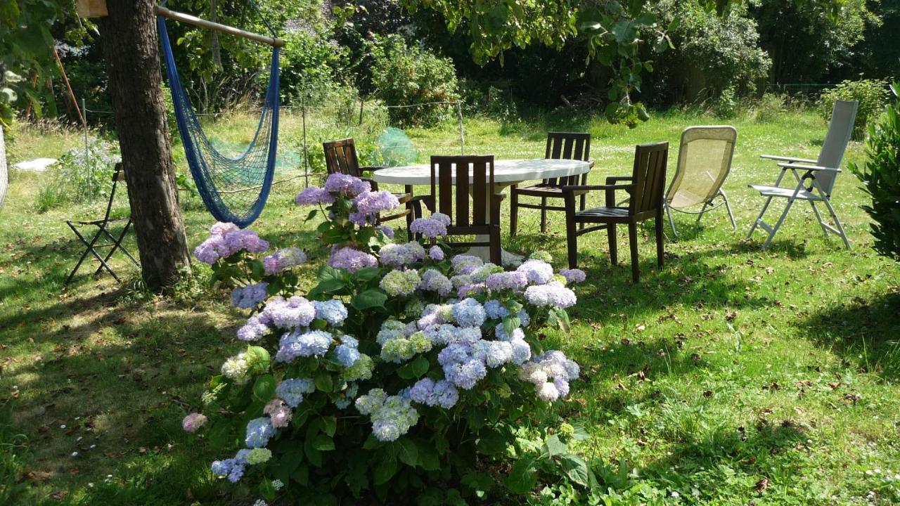 DINANT La Bergeronnette avec la chaleur du feu de bois et le jardin - Chambres d’hôtes