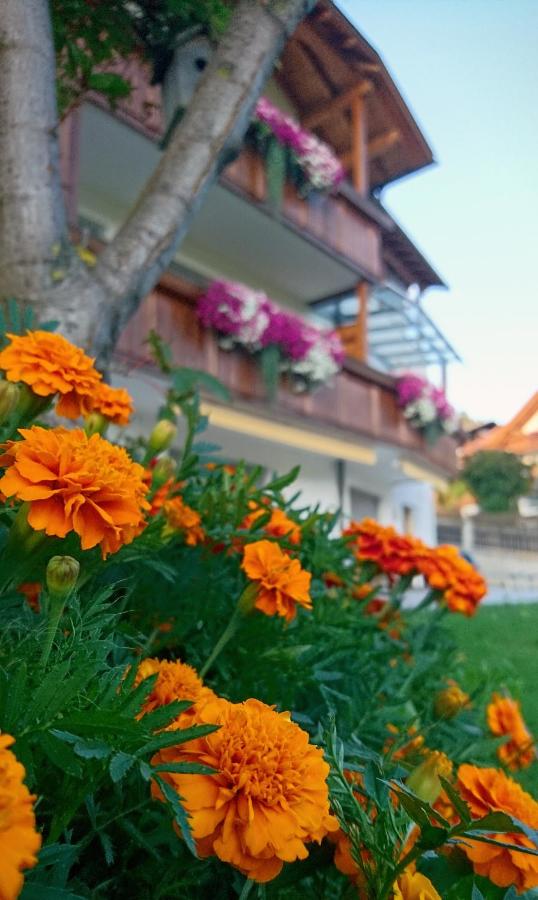 Residence Sonnberg - B&B