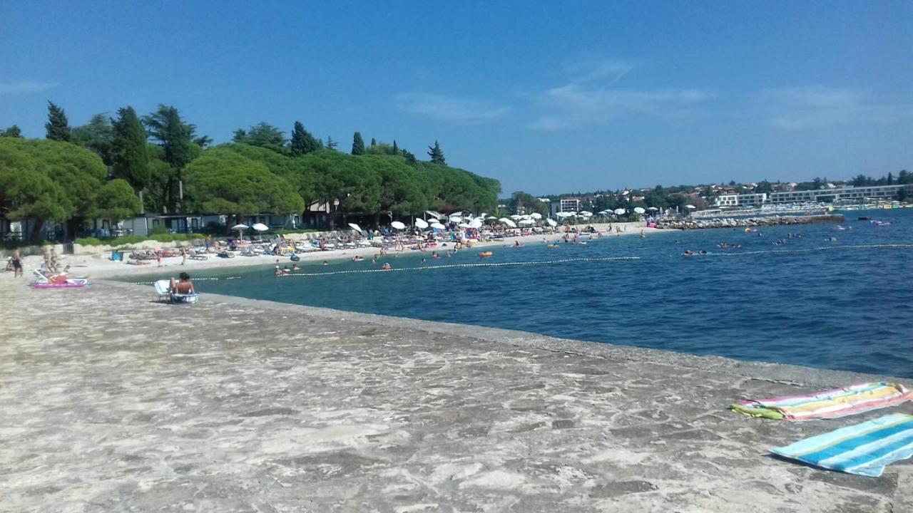 Apartment Ivana,Mali Maj - B&B Poreč