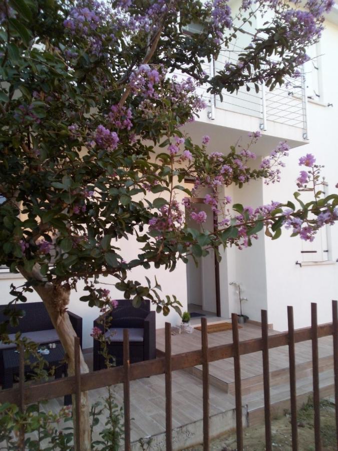 B&B Mestre - The judas trees - Bed and Breakfast Mestre