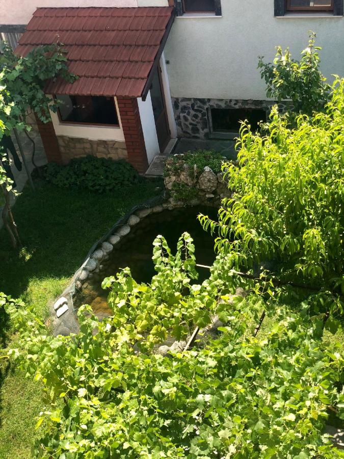 Valevitsata Guesthouse - B&B
