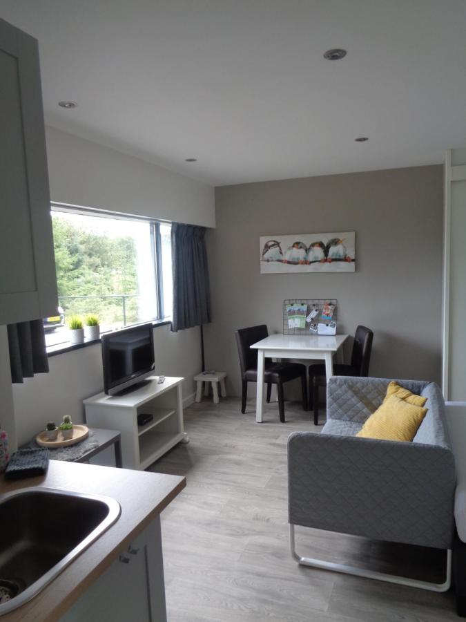 Apartment mit 1 Schlafzimmer