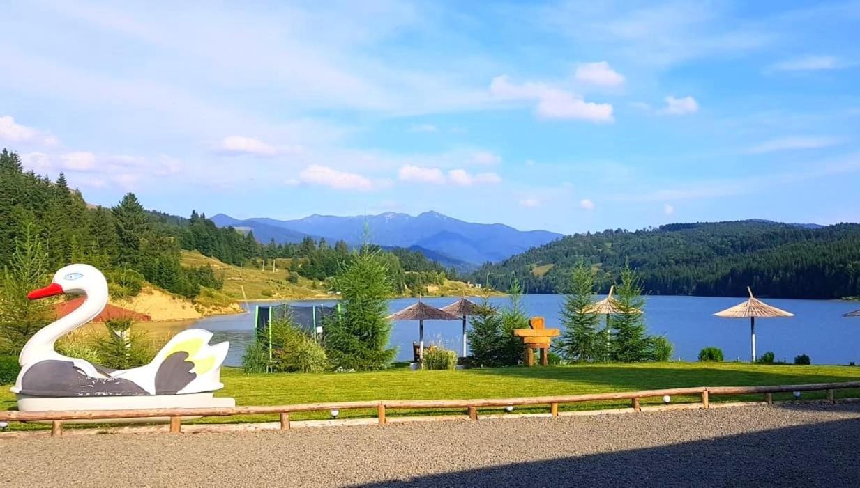 Modern rooms Colibita - B&B