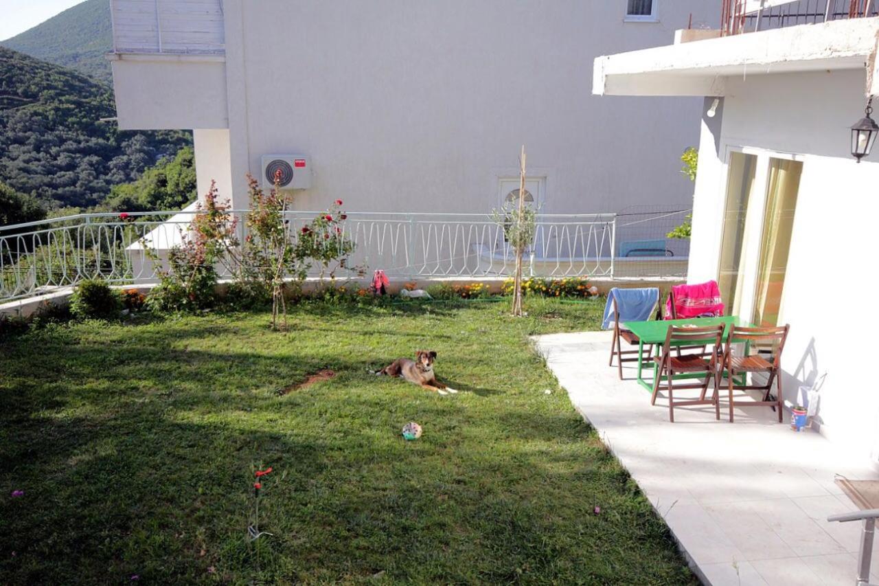 Appartement - Begane Grond