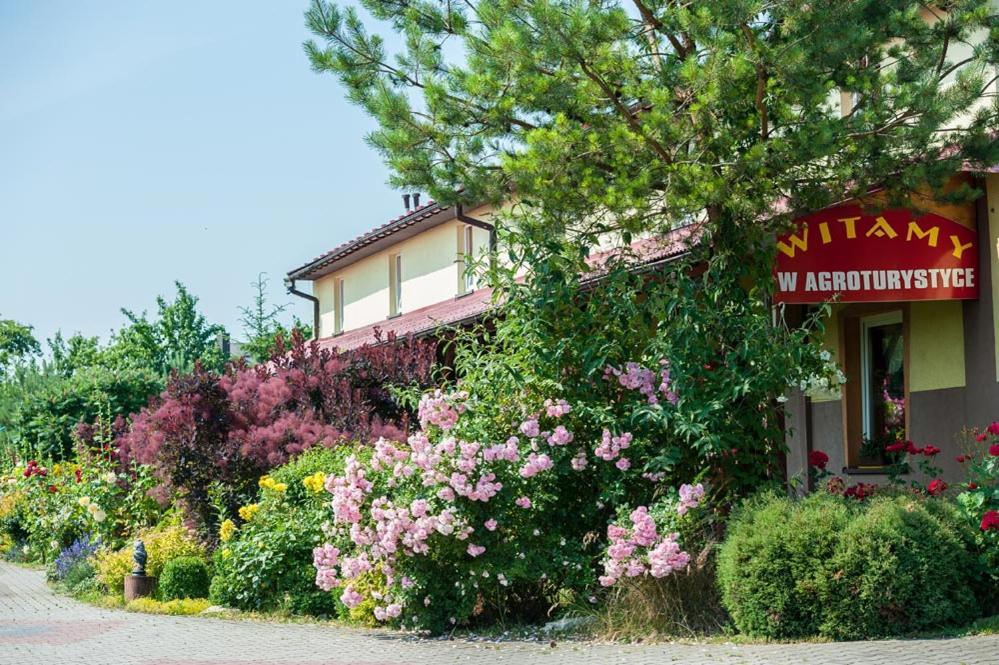 B&B Kiełkowice - Zajazd agroturystyczny KA-JA - Bed and Breakfast Kiełkowice