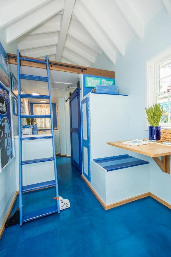 Minicasa - The Sea Turtle 