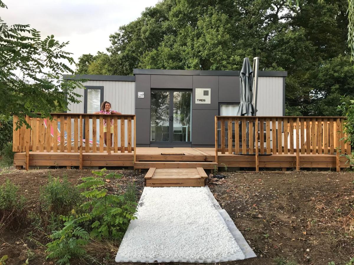 L Orée Du Bois - B&B Moncheux