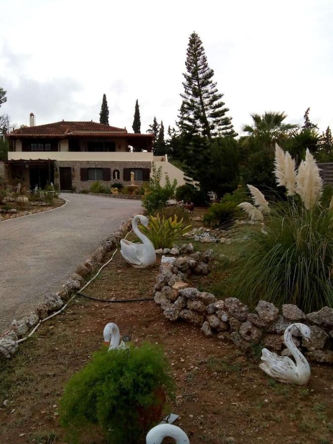 Villa Rita - Porto Heli - B&B