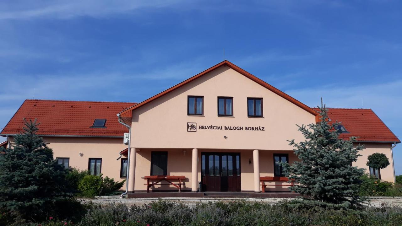 Helvéciai Balogh Borház - B&B