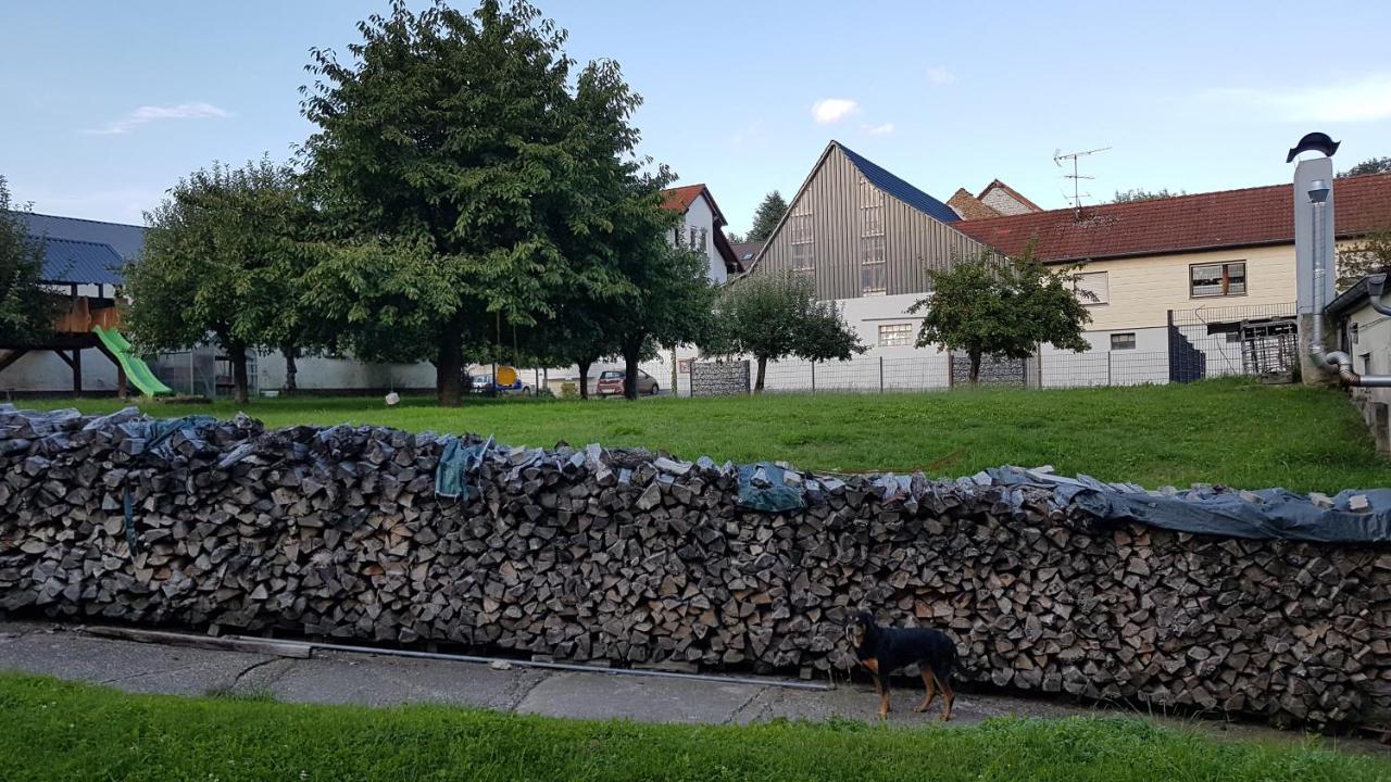 Ferienwohnung/Monteurzimmer auf dem Bauernhof - B&B