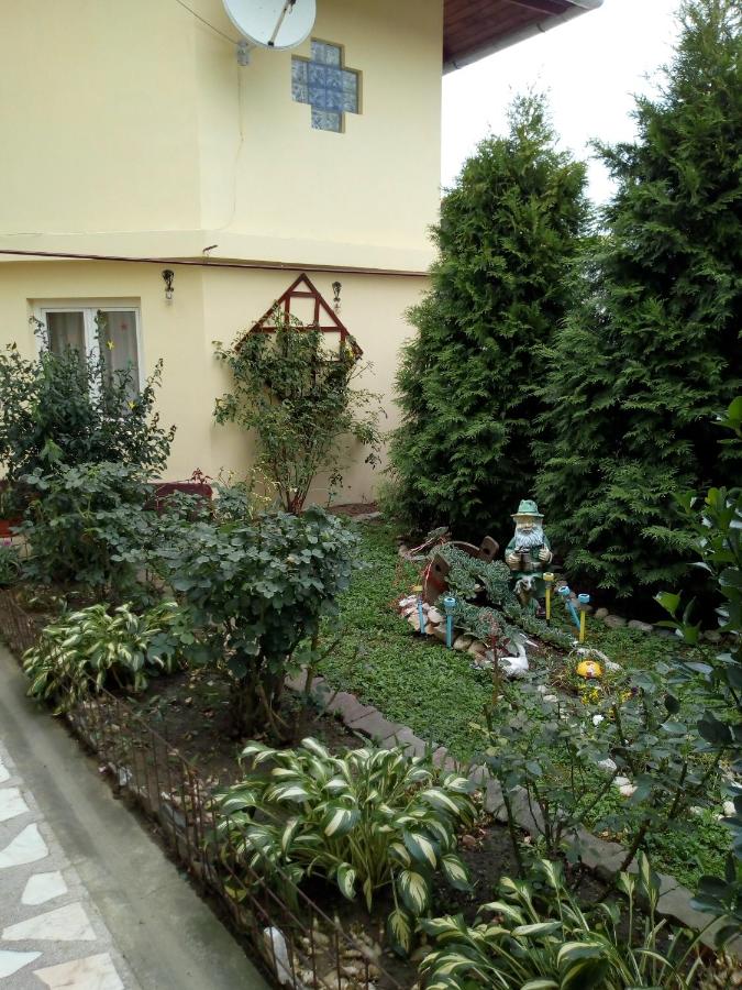 2Rivers - Chambres d’hôtes Săsciori
