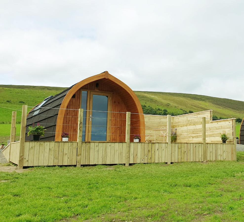 B&B Finstown - Lilly's Lodges Orkney Hedgehog Lodge - Bed and Breakfast Finstown
