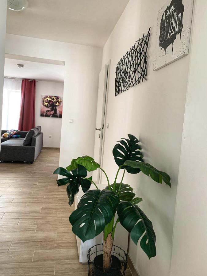 Apartamento de 2 dormitorios