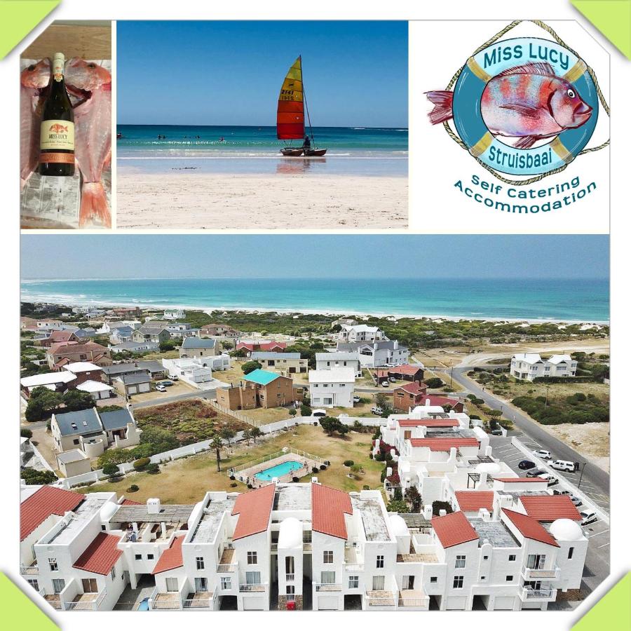 B&B Struisbaai - Miss Lucy - Bed and Breakfast Struisbaai