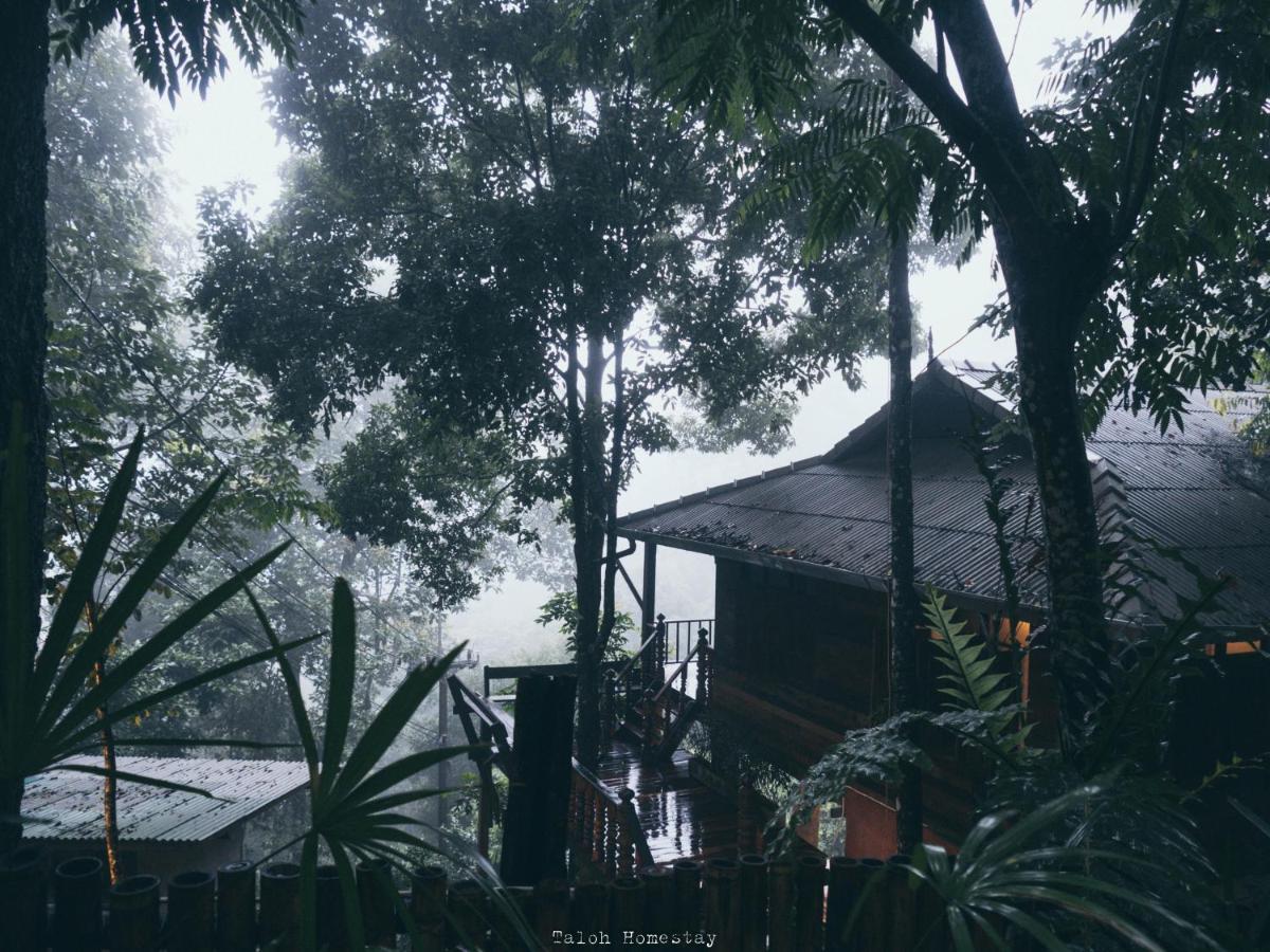 ทโล้ โฮมสเตย์ เชียงใหม่ | Taloh Homestay Chiangmai - B&B Mae On