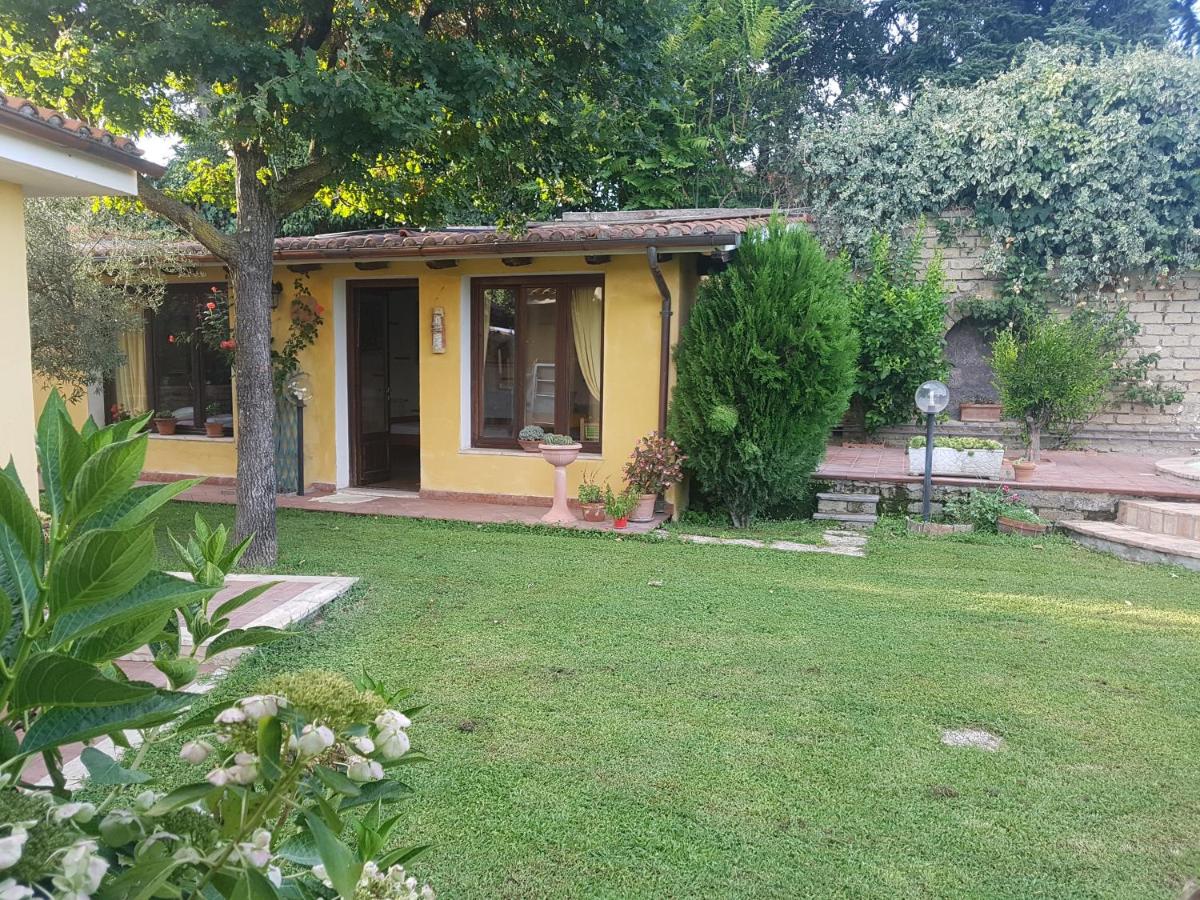 Mola Country Loft - B&B